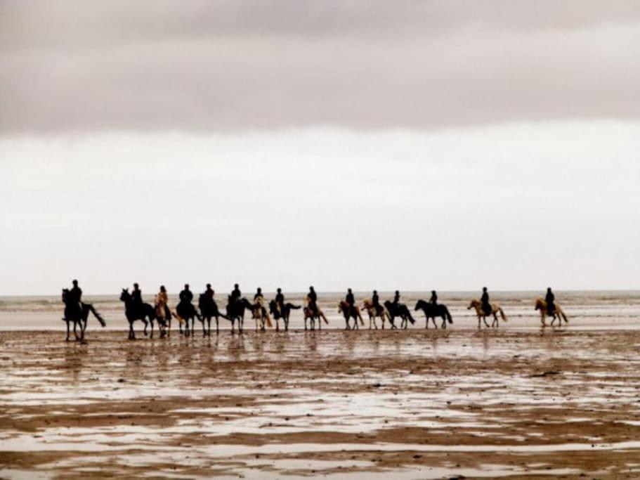 Ty Ar Mor Maison De La Mer, A 40 M De La Plage Saint-Michel-en-Greve Bagian luar foto